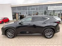 Gebraucht Lexus NX350h Executive Line 243 PS (178 kW) 2025 Graphitschwarz SUV