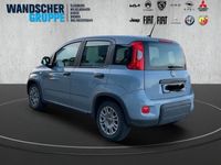 gebraucht Fiat Panda MY22 Hybrid 51kW (70PS) *TECH-PAKET*