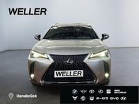 Gebraucht Lexus UX 184 PS (135 kW) 2023 Andere SUV