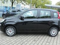 Gebraucht Fiat Panda Easy 69 PS (50 kW) 2018 Schwarz Kleinwagen