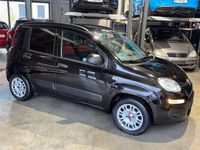 Gebraucht Fiat Panda Easy 69 PS (50 kW) 2020 Schwarz Kleinwagen