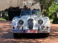 Gebraucht Jaguar XK 213 PS (156 kW) 1956 Weiß Cabrio