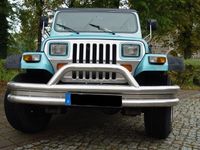 Gebraucht Jeep Wrangler 121 PS (88 kW) 1995 Blau SUV