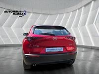 Gebraucht Mazda CX-30 Selection 150 PS (110 kW) 2021 Rot SUV