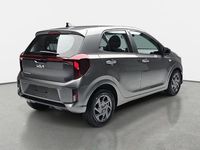 Neu Kia Picanto Vision 68 PS (50 kW) 2025 Grau Kleinwagen