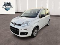 Gebraucht Fiat Panda Easy 69 PS (50 kW) 2020 Weiß Kleinwagen