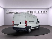 Neu Opel Movano 179 PS (131 kW) 2025 Weiss Van