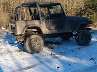 Gebraucht Jeep Wrangler 100 PS (73 kW) 1993 Grün SUV