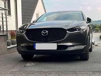 Gebraucht Mazda CX-30 116 PS (85 kW) 2020 Braun SUV