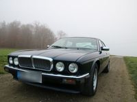 gebraucht Jaguar XJ40 