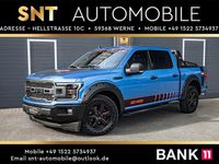 Gebraucht Ford F-150 XLT 329 PS (241 kW) 2019 Blau Pickup