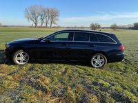 Gebraucht Mercedes E220 194 PS (142 kW) 2020 Blau Kombi