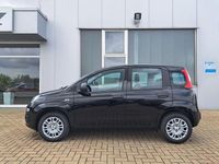 Neu Fiat Panda 69 PS (50 kW) 2025 Schwarz Kleinwagen