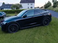 Gebraucht Alfa Romeo Stelvio 280 PS (205 kW) 2017 Schwarz SUV