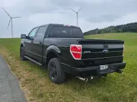 Gebraucht Ford V8 XLT 364 PS (267 kW) 2014 Grün Pickup