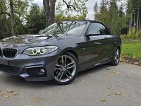 Gebraucht BMW 220 M Sport 184 PS (135 kW) 2015 Grau Cabrio