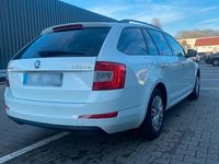 Gebraucht Skoda Octavia 126 PS (92 kW) 2015 Weiß Kleinwagen