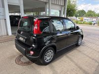 Gebraucht Fiat Panda 69 PS (50 kW) 2024 Schwarz Kleinwagen