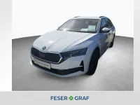 Nowe Skoda Octavia 150 KM (110 kW) 2026 Biały Kombi