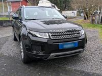 Gebraucht Land Rover Range Rover evoque Pure 150 PS (110 kW) 2018 Schwarz SUV