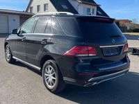 gebraucht Mercedes GLE250 d 9G-TRONIC Top Gepflegt schöne Farbkombination