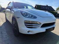 Gebraucht Porsche Cayenne 245 PS (180 kW) 2012 Weiß SUV