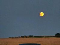 Gebraucht BMW 330 Cabriolet 231 PS (169 kW) 2001 Schwarz Cabrio