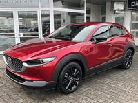 Neu Mazda CX-30 Homura-Line 140 PS (102 kW) 2025 SUV