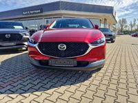 Gebraucht Mazda CX-30 Selection 122 PS (89 kW) 2022 Soul red crystal m SUV