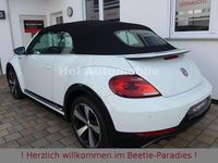 Gebraucht VW Beetle R-line 150 PS (110 kW) 2017 Pure white Kleinwagen