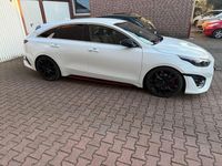 Gebraucht Kia ProCeed GT 204 PS (150 kW) 2023 Weiß Kombi
