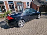 Gebraucht Ford Focus Cabriolet 100 PS (73 kW) 2009 Schwarz Cabrio