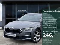 Gebraucht Skoda Octavia Selection 150 PS (110 kW) 2024 Grau Kombi