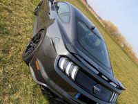 Gebraucht Ford Mustang GT Fastback 450 PS (330 kW) 2020 Grau Coupé