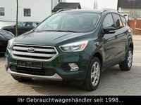 Gebraucht Ford Kuga Trend 150 PS (110 kW) 2017 Grün SUV