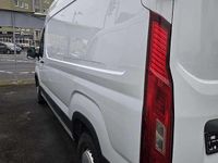 Gebraucht Maxus V90 147 PS (108 kW) 2024 Van