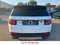 Gebraucht Land Rover Discovery Sport S 150 PS (110 kW) 2020 Weiß SUV