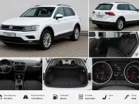 Gebraucht VW Tiguan Active 150 PS (110 kW) 2022 Weiß SUV