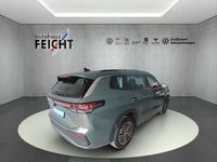 Gebraucht VW Tayron Life 150 PS (110 kW) 2025 Cipressinogrün metallic (metallic) SUV