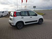 gebraucht Fiat Panda City Life Winter Paket/PDC/NSW/Uconnect Mobile/DAB