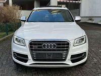 gebraucht Audi SQ5 3.0 TDI tiptronic quattro/PANO/B&O/AHK/Totwi