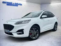 Gebraucht Ford Kuga ST-Line X 224 PS (164 kW) 2022 Weiß SUV