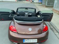 Gebraucht VW Beetle Sound 105 PS (77 kW) 2017 Braun Kleinwagen