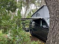 Gebraucht VW California California 204 PS (150 kW) 2018 Grau Van