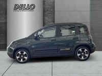 Neu Fiat Panda Cross Cross 69 PS (50 kW) 2026 Foresta grün Kleinwagen