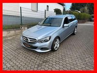 Gebraucht Mercedes E220 170 PS (125 kW) 2013 Diamantsilber Kombi