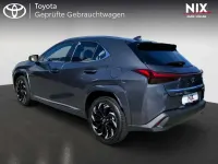Gebraucht Lexus UX 250h Luxury Line 184 PS (135 kW) 2023 Grau SUV