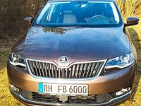 Gebraucht Skoda Rapid Clever 95 PS (69 kW) 2018 Braun Limousine