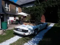 Second-hand Jaguar XJS 232 CP (170 kW) 1995 Alb Cabrio