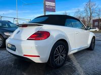 gebraucht VW Beetle Cabriolet Allstar°Xenon°Navi°PDC°Kamera°